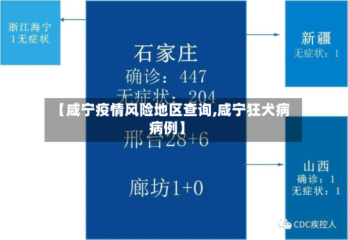 【咸宁疫情风险地区查询,咸宁狂犬病病例】