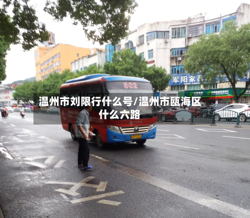 温州市刘限行什么号/温州市瓯海区什么六路-第2张图片