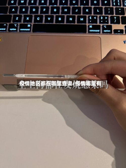 疫情地区都在哪里查询/疫情哪里有