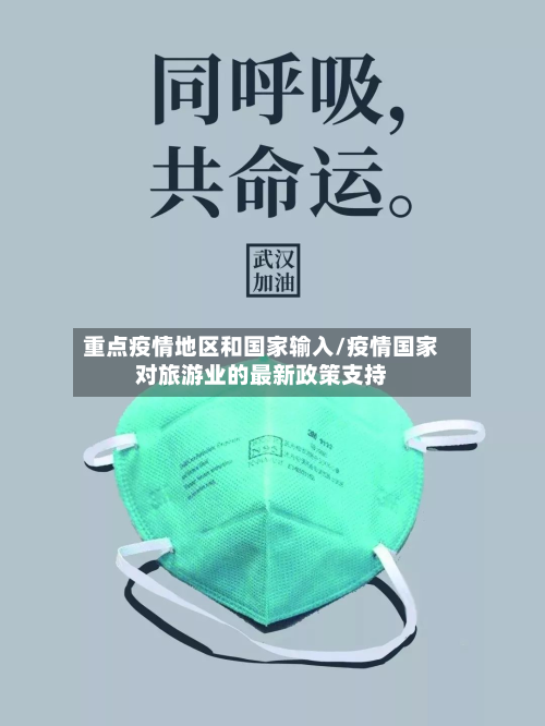 重点疫情地区和国家输入/疫情国家对旅游业的最新政策支持-第2张图片
