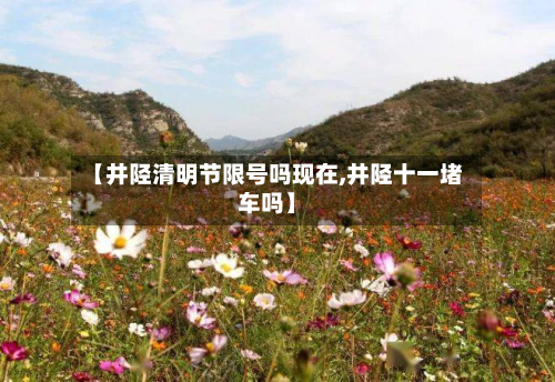 【井陉清明节限号吗现在,井陉十一堵车吗】-第2张图片