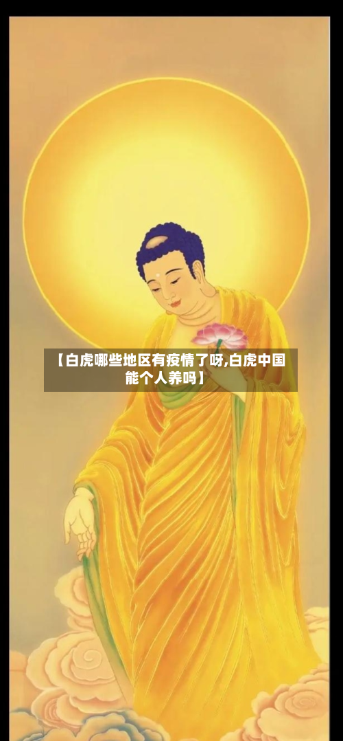 【白虎哪些地区有疫情了呀,白虎中国能个人养吗】-第2张图片