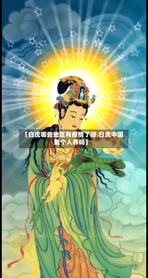 【白虎哪些地区有疫情了呀,白虎中国能个人养吗】-第3张图片
