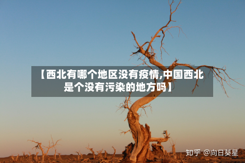 【西北有哪个地区没有疫情,中国西北是个没有污染的地方吗】