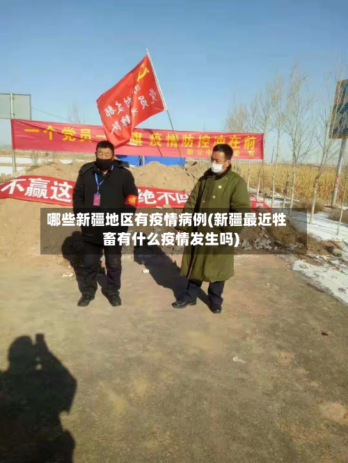 哪些新疆地区有疫情病例(新疆最近牲畜有什么疫情发生吗)-第2张图片