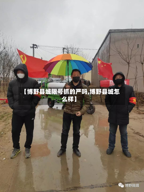 【博野县城限号抓的严吗,博野县城怎么样】-第2张图片