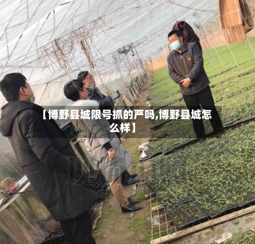 【博野县城限号抓的严吗,博野县城怎么样】-第3张图片