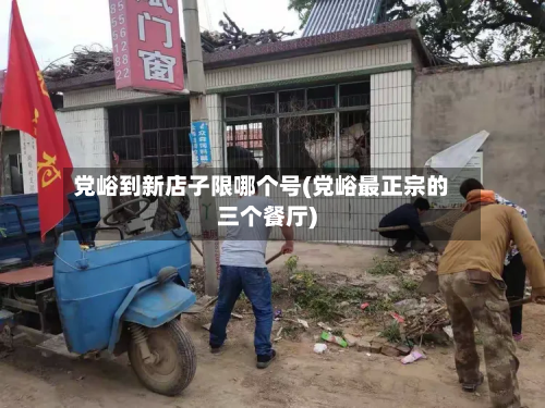 党峪到新店子限哪个号(党峪最正宗的三个餐厅)