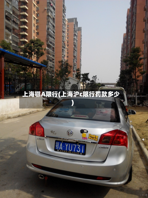 上海鄂A限行(上海沪c限行罚款多少)-第3张图片