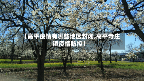 【高平疫情有哪些地区封闭,高平寺庄镇疫情防控】-第2张图片