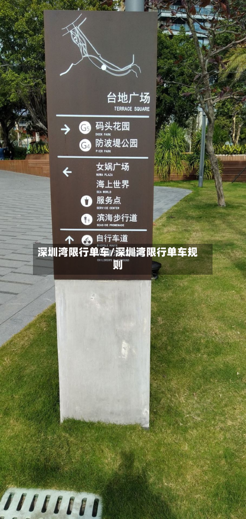 深圳湾限行单车/深圳湾限行单车规则-第2张图片