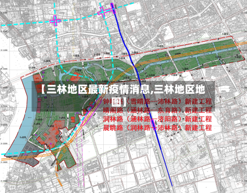 【三林地区最新疫情消息,三林地区地图】-第2张图片