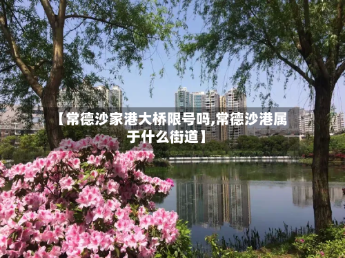 【常德沙家港大桥限号吗,常德沙港属于什么街道】