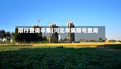 限行查询辛集(河北辛集限号查询)