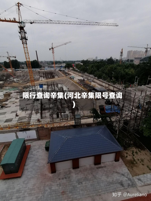限行查询辛集(河北辛集限号查询)-第2张图片