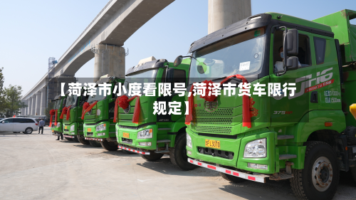 【菏泽市小度看限号,菏泽市货车限行规定】-第2张图片