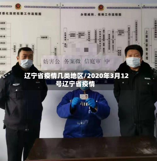 辽宁省疫情几类地区/2020年3月12号辽宁省疫情