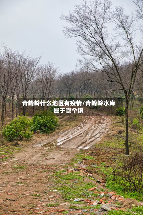 青峰岭什么地区有疫情/青峰岭水库属于哪个镇-第2张图片