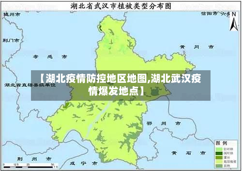 【湖北疫情防控地区地图,湖北武汉疫情爆发地点】