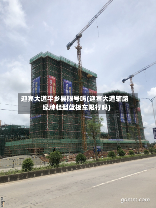 迎宾大道平乡县限号吗(迎宾大道辅路绿牌轻型蓝板车限行吗)