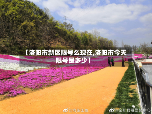 【洛阳市新区限号么现在,洛阳市今天限号是多少】-第3张图片