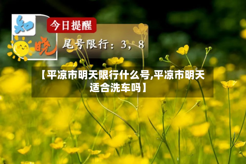 【平凉市明天限行什么号,平凉市明天适合洗车吗】-第2张图片