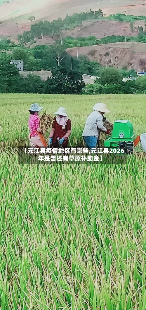 【元江县疫情地区有哪些,元江县2026年是否还有草原补助金】-第2张图片