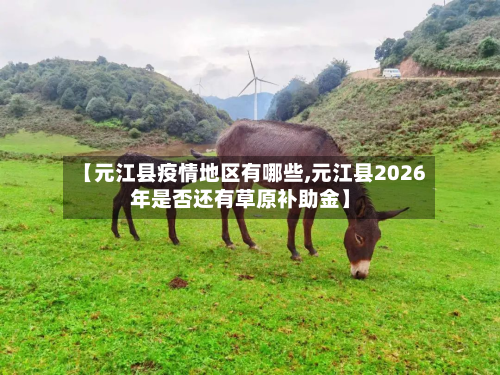 【元江县疫情地区有哪些,元江县2026年是否还有草原补助金】