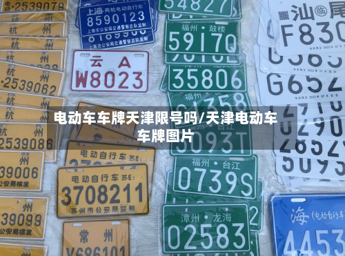 电动车车牌天津限号吗/天津电动车车牌图片-第2张图片