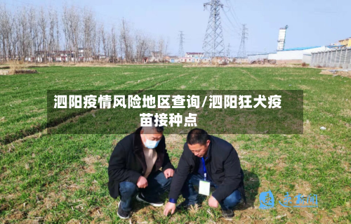泗阳疫情风险地区查询/泗阳狂犬疫苗接种点