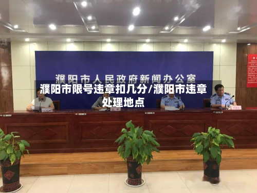 濮阳市限号违章扣几分/濮阳市违章处理地点