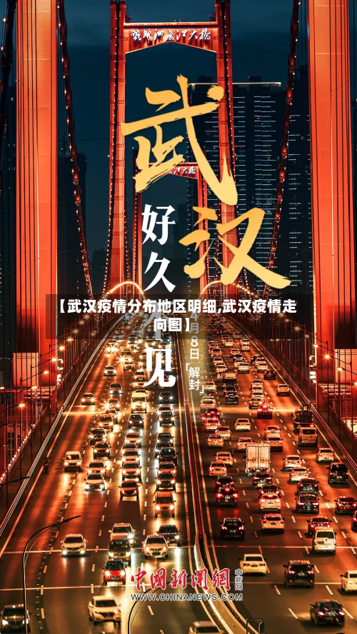 【武汉疫情分布地区明细,武汉疫情走向图】-第2张图片