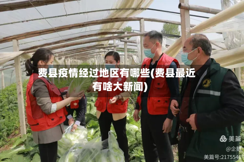 费县疫情经过地区有哪些(费县最近有啥大新闻)