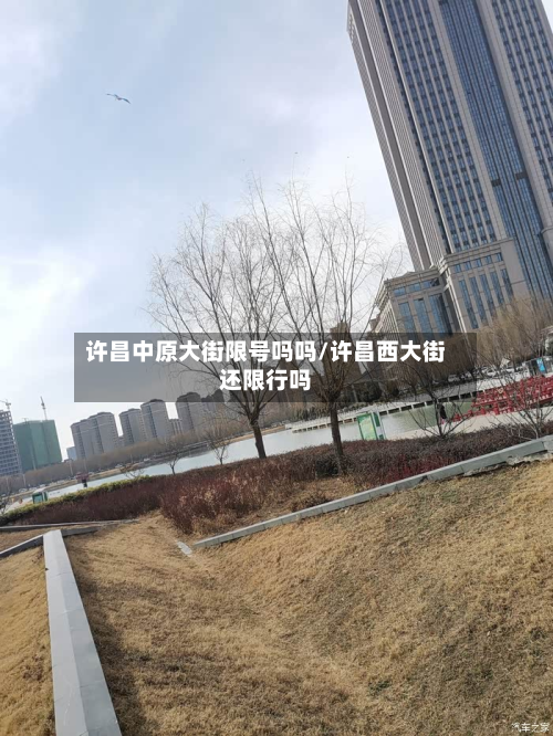 许昌中原大街限号吗吗/许昌西大街还限行吗-第3张图片