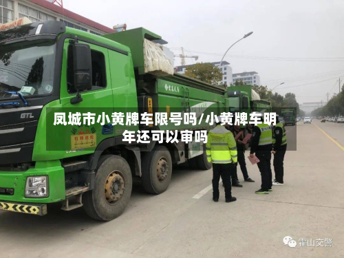 凤城市小黄牌车限号吗/小黄牌车明年还可以审吗