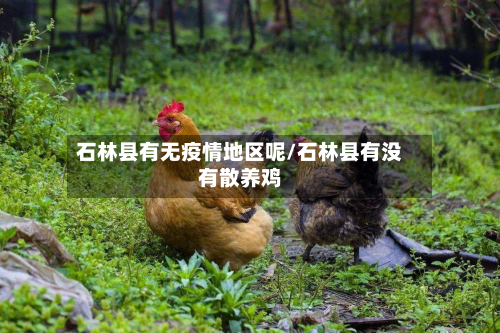 石林县有无疫情地区呢/石林县有没有散养鸡