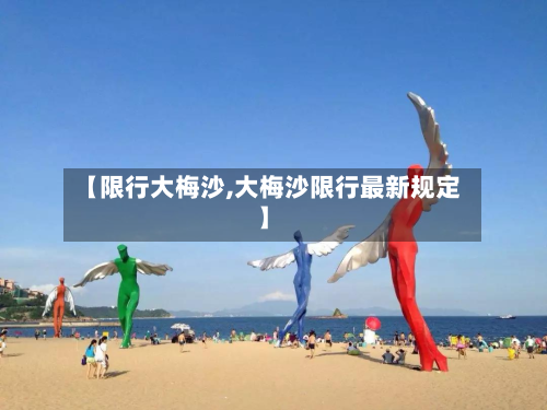 【限行大梅沙,大梅沙限行最新规定】-第3张图片