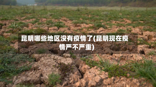昆明哪些地区没有疫情了(昆明现在疫情严不严重)-第3张图片