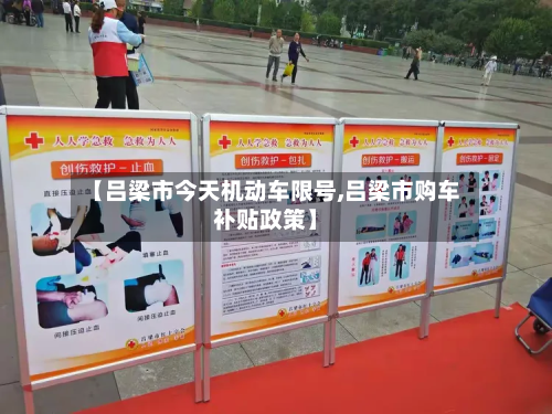 【吕梁市今天机动车限号,吕梁市购车补贴政策】-第3张图片