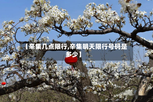 【辛集几点限行,辛集明天限行号码是多少】