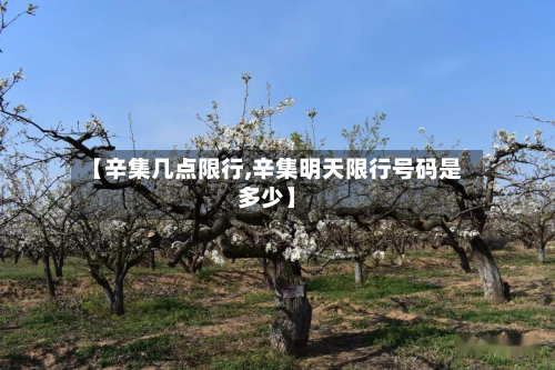 【辛集几点限行,辛集明天限行号码是多少】-第2张图片
