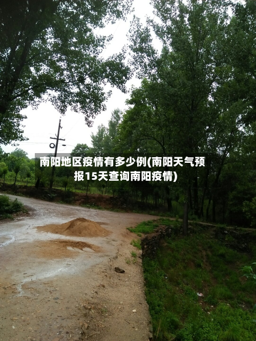 南阳地区疫情有多少例(南阳天气预报15天查询南阳疫情)
