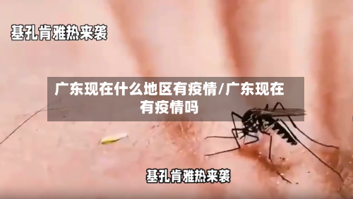 广东现在什么地区有疫情/广东现在有疫情吗