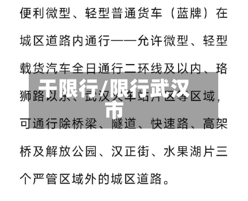 干限行/限行武汉市-第3张图片