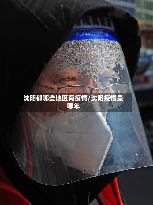 沈阳都哪些地区有疫情/沈阳疫情是哪年