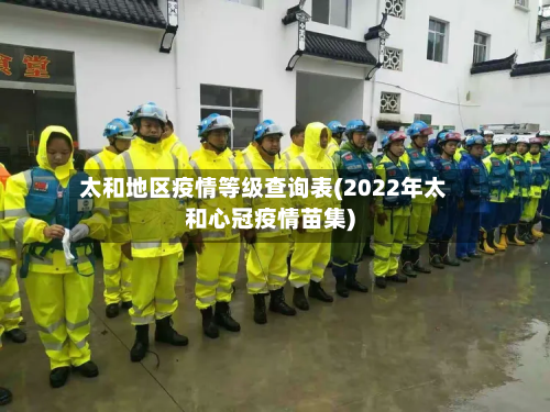 太和地区疫情等级查询表(2022年太和心冠疫情苗集)-第3张图片