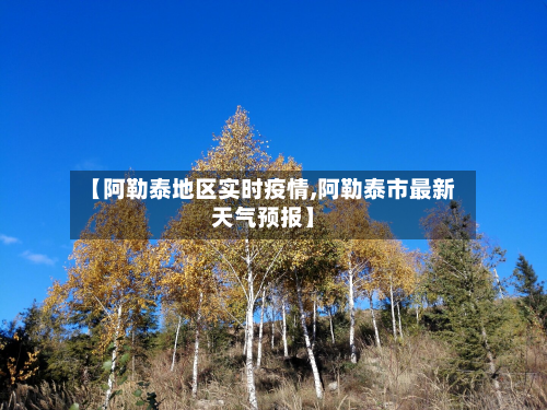 【阿勒泰地区实时疫情,阿勒泰市最新天气预报】-第2张图片