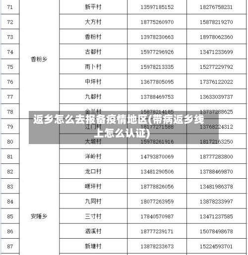 返乡怎么去报备疫情地区(带病返乡线上怎么认证)-第2张图片