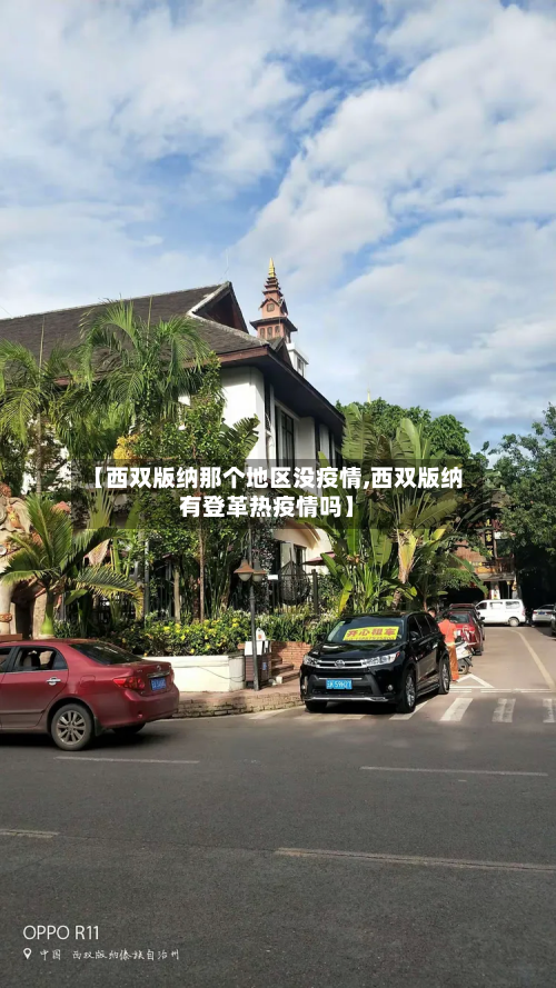【西双版纳那个地区没疫情,西双版纳有登革热疫情吗】
