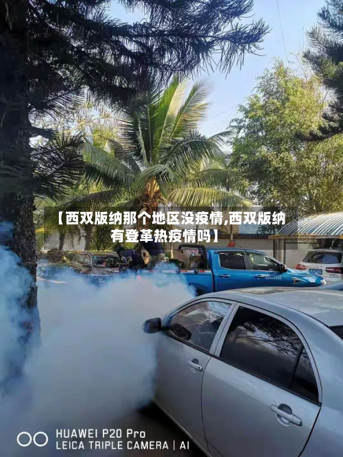 【西双版纳那个地区没疫情,西双版纳有登革热疫情吗】-第2张图片